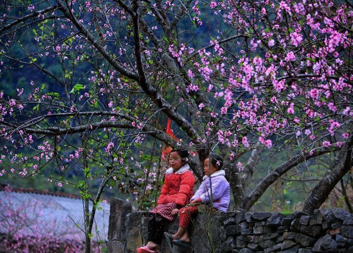 Ngắm nhìn mùa xuân len lỏi từng ngóc ngách các bản làng ở Hà Giang